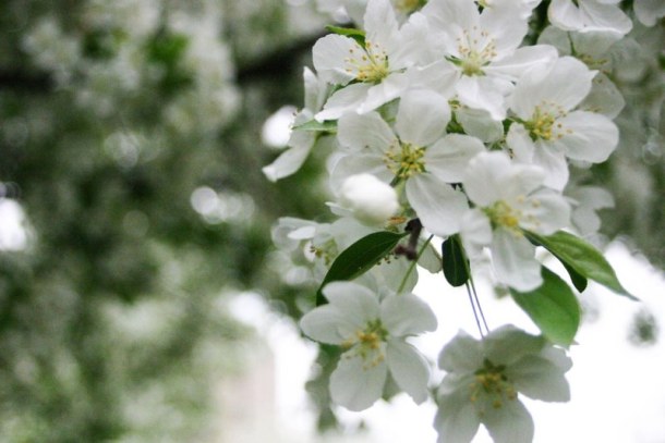 "Art is so arbitrary to the viewer that great art can come from the most unexpected places." --Leah Roszkowski