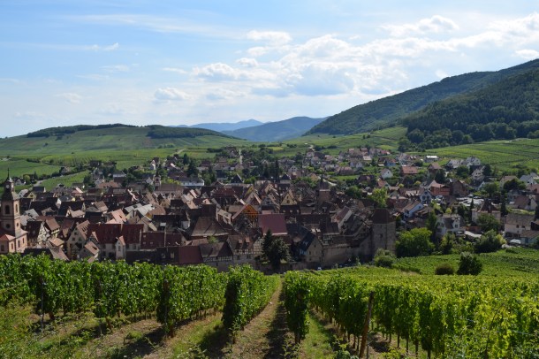 Bird's eye view of Riquewihr and the Alsace vineyards 
