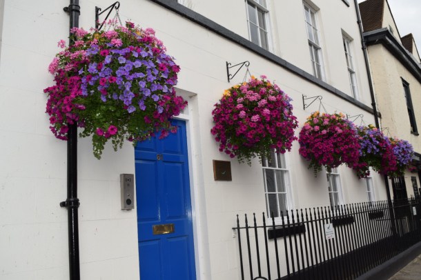 Gorgeous flowers in Windsor