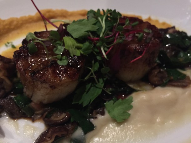 The little scallops that could